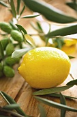 Frische Zitrone und Olivenzweige