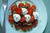 Grilled aubergines with tomatoes and mozzarella