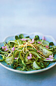 Sprouts salad with cucumber and meadow cardamine