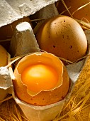 Eierkarton mit geöffnetem Ei