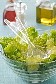 Lettuce in salad bowl