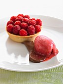 A raspberry tartlet and raspberry sorbet