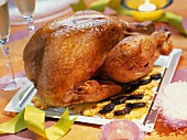 Creole style turkey