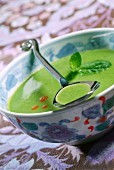 Grüne Bohnensuppe