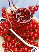 Sherry and redcurrant jelly