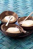 Blanc-manger au coco (weiße Kokoscreme, französische Antillen)