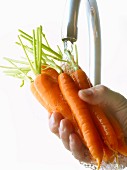 Rinsing carrots under the tap