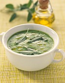 Broad bean soup with sage
