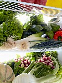 Verschiedene Gemüsesorten im Kühlschrank