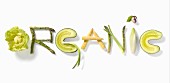 ORGANIC mit Gemüse geschrieben