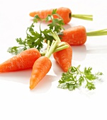 Carrots