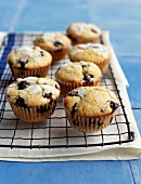 Bilberry muffins