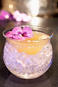 Rum-Zitronen-Cocktail mit Stiefmütterchen