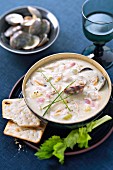 Clam chowder (mussel soup, USA)
