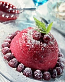 Raspberry ice cream dessert