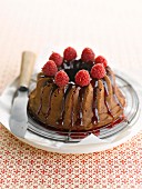 Chocolate cake with raspberry vinegar topping