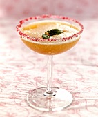 Aprikosencocktail