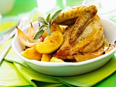 Roast chicken with apples