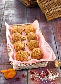 Small Gofio balls with dried bilberries and fruit