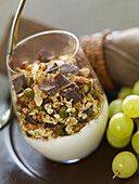 Joghurt-Verrine mit Müsli, getrockneten Früchten und Schokolade (vegetarisch)