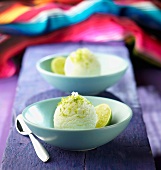 Tequila and lime sorbet