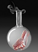 Meat in a glass chemical testing bottle