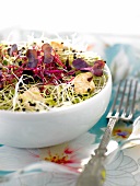 Tofu sprout salad