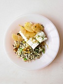 White fish with grapefruit and mixed white and wild rice