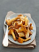 John Dory fillet with chanterelles