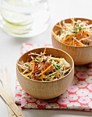 Grated cabbage and carrot salad with fennel seeds