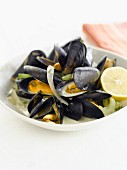 Mussels with celery and cream