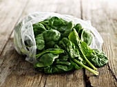 Fresh spinach leaves in a plastic bag