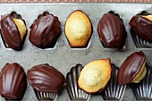 Madeleines coated in chocolate