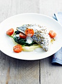 Fish on a bed of spinach and basil espuma
