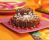 Chocolate cake decorated with a spider and it's web