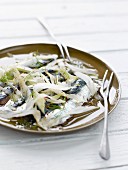 Sardines marinated with cilantro and fennel