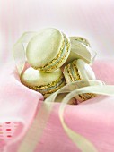 Pistazien-Macarons auf rosa Tüll