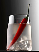 Vodka and red hot pepper cocktail