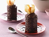 Chocolate mousse in a crisp chocolate casing