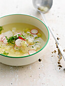 White asparagus broth with radishes