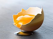 Egg yolk in half an egg shell