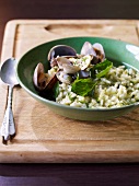 Risotto with cockles and basil