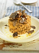 Risotto with ceps and truffles