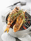 Grilled red mullets with rosemary