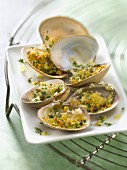 Littleneck clams grilled with parsley and garlic
