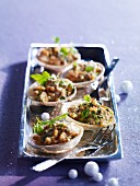 Dog cockle shellfish with walnuts and herbs