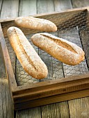Long buckwheat bread