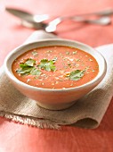 Hot tomato soup with mild spices