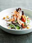 Hummersalat mit Kirschtomaten und Croûtons