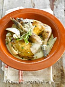 Pheasant with pears and roquefort sauce